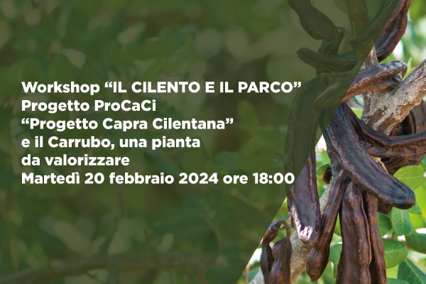 Workshop “IL CILENTO E IL PARCO”