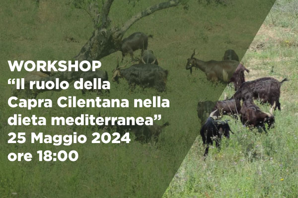 Workshop “il ruolo della capra cilentana nella dieta mediterranea”